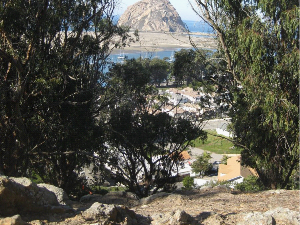 Eagle Rock AKA Cerrito Peak